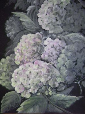 Hortensia